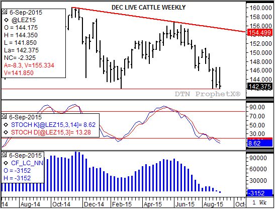 Dec live cattle posted a new contract low last week. (Source: DTN ProphetX)