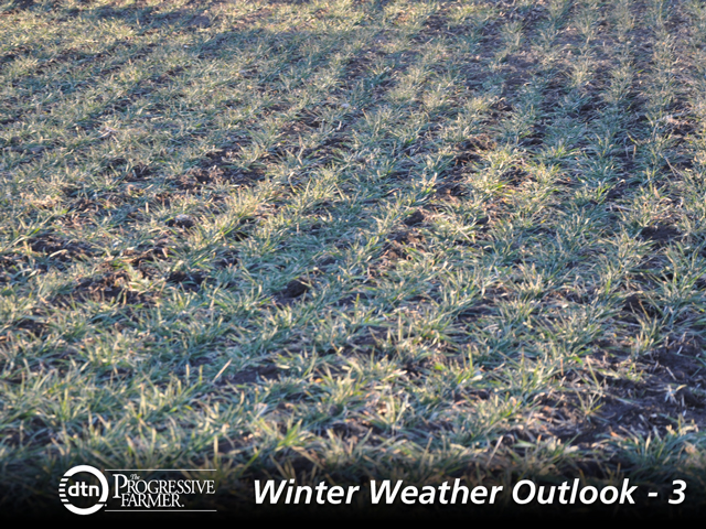 Soil moisture in the Southern Plains Wheat Belt may see a late-winter addition if El Nino-related trends in the Pacific Ocean continue. (DTN photo by Katie Micik)