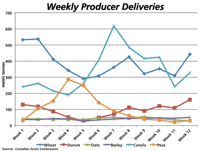 This chart shows the trends in producer deliveries into licensed facilities as reported by the Canadian Grain Commission. Wheat, durum and canola showed a sharp increase in deliveries in the most recent week, with total grain volumes well above recent history. (DTN graphic by Nick Scalise)