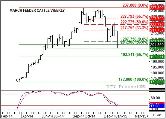 March Feeder Cattle are testing support. (Source: DTN ProphetX)