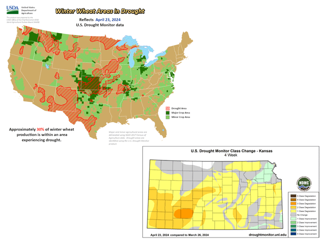 Drought is now in effect over almost one-third of winter wheat areas, mostly due to a sharp degradation in drought conditions in Kansas during the past four weeks. (USDA and NDMC graphics)