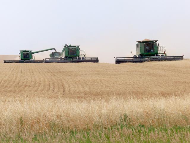 Custom harvesters are among the businesses that increasingly rely on H-2A guest workers. Farmers lobbying lawmakers are frustrated over wage hikes and question how USDA&#039;s conducts its semi-annual Farm Labor Survey. (DTN file photo) 