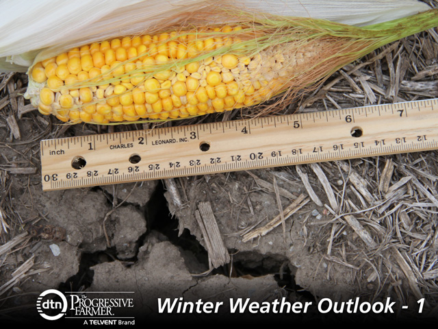 Depleted Western Corn Belt soil moisture supplies have very little chance of full recovery this winter. (DTN photo by Elaine Shein)