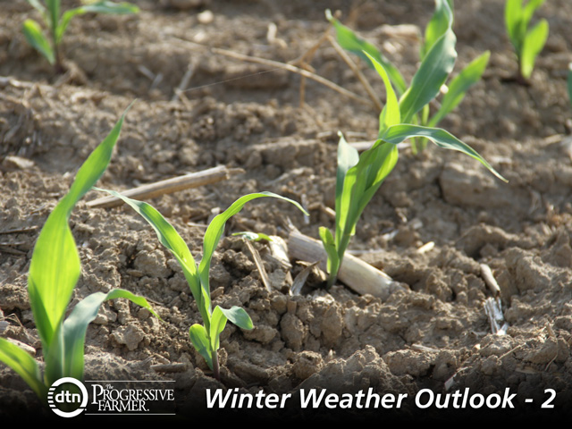 Eastern Corn Belt areas have a good chance at moisture recovery for spring crops, following some above-normal precipitation during the fall. (DTN file photo by Elaine Shein)