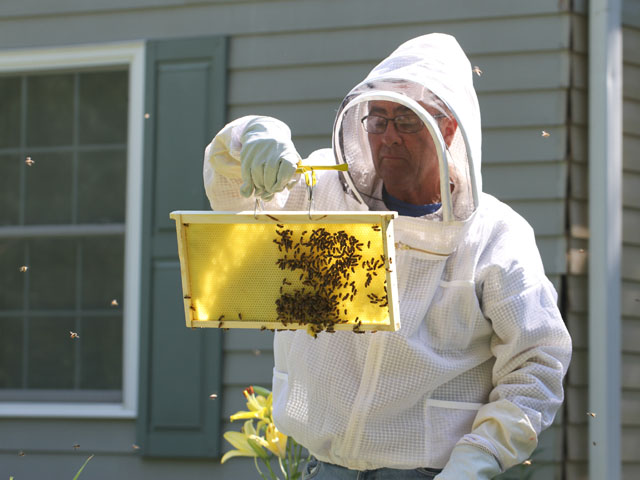 Proposed EPA rules would prohibit foliar pesticide and herbicide applications around managed bee colonies under contract for pollination services. (DTN file photo by Pam Smith)