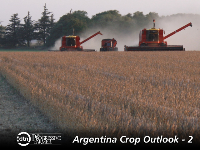 Argentine soybeans being harvested in Venado Tuerto, Sante Fe Province, show fieldwork has moved forward quickly after a dry April. (DTN photo by Alastair Stewart)