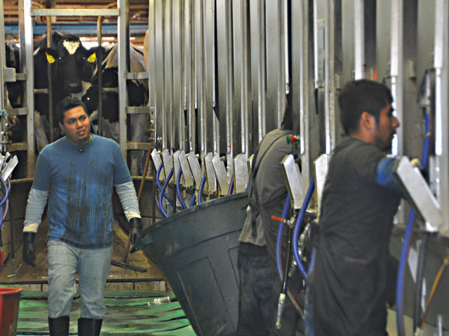 John Emerling, who has 1,200 milking cows with his son, is concerned about labor problems if Congress doesn&#039;t pass a comprehensive immigration reform bill. The Emerlings farm near Perry, N.Y. (DTN photo by Chris Clayton)