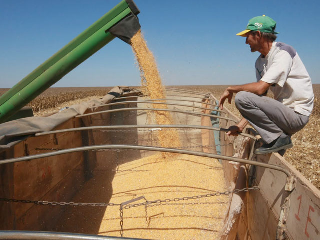 With the numbers showing a small positive margin, Brazilian farmers are expected to plant more corn in the upcoming 2015-2016 second crop, from which the overwhelming majority of the country&#039;s exports derive. (DTN file photo)