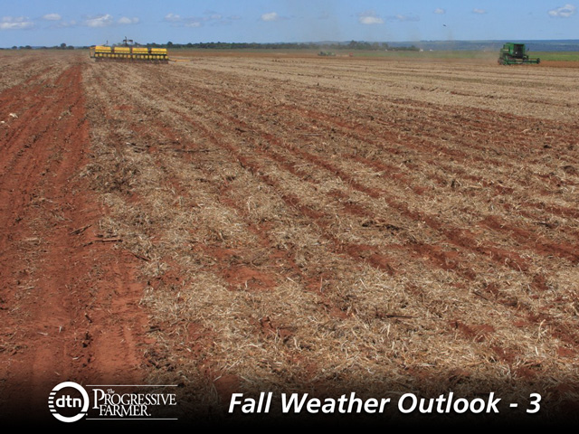 A drier-than-usual pre-planting season has minimized the early Brazil soybean planting rate. (DTN photo by Kieran Gartlan)