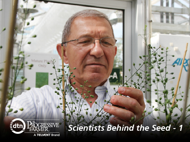 Camelina is Jan Jaworski&#039;s favorite crop. This lab rat of the plant world has potential to be an energy powerhouse, according to the biochemist at the Donald Danforth Plant Science Center. (DTN photo by Pamela Smith)