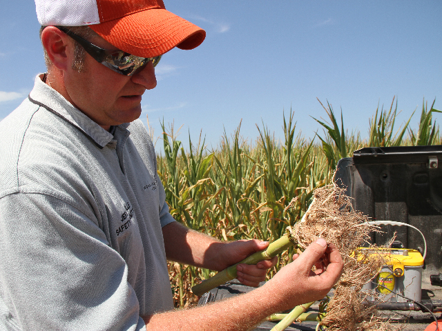 Western corn rootworm got more devious in 2013. Now is a good time to review what happened last year and plan for 2014, says Sean Evans. (DTN photo by Pamela Smith) 