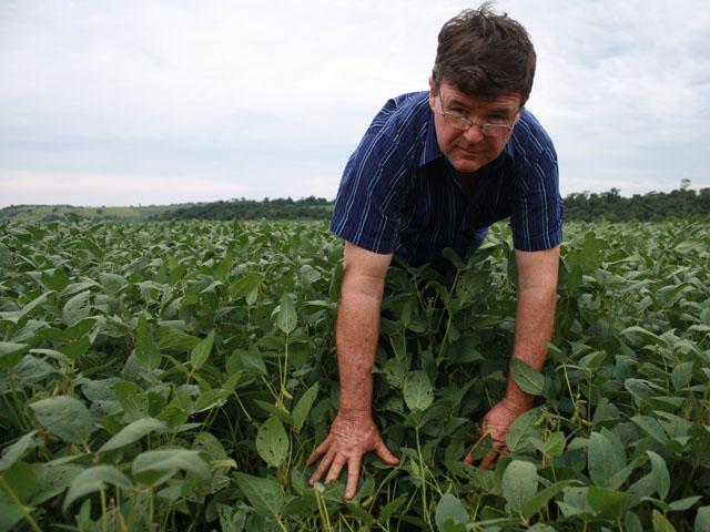 Gabriel Jort shows off the excellent condition of his soybean crop on his 500-acre farm in Campo Mourao, northwestern Parana state. (DTN photo by Alastair Stewart)