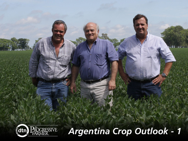 From left to right, Juan Elizalde, Carlos Mayer and Guillermo Veneranda stand in a soybean field on the La Merced farm in Argentina&#039;s Santa Fe province. Argentina&#039;s soybean crop looks good, despite a rocky start. (DTN photo by Alastair Stewart)