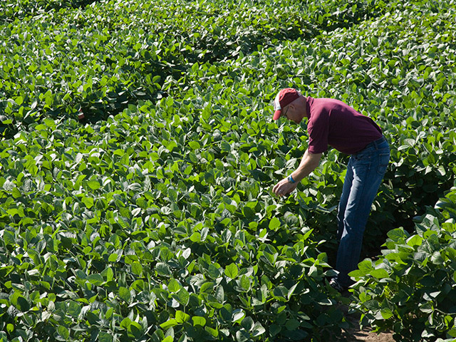 University of Minnesota agronomist Seth Naeve is looking closely at a host of soybean-production practices to see which ones offer the highest returns. (DTN/The Progressive Farmer photo by David L. Hansen)
