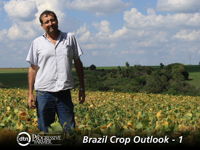 Nelson Nunes looks over his soybean crop that has been damaged by dry weather in Brazil. (DTN photo by Alastair Stewart)
