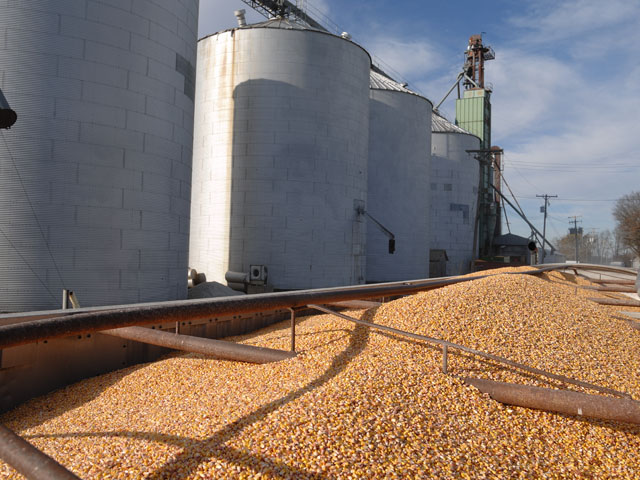 It&#039;s vital that farmers communicate with their local co-ops, grain elevators, ethanol plants and any other buyers to make sure they know the business&#039;s protocol on unapproved traits, according to American Soybean Association president Ray Gaesser. (DTN file photo by Jim Patrico) 