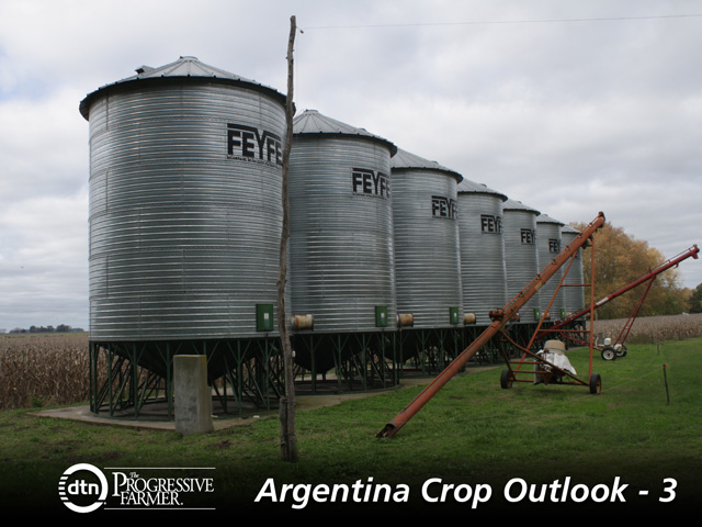 Bins holding wheat seeds in 9 de Julio, Buenos Aires province. Area is seen growing by up to 20% this year. (DTN photo by Alastair Stewart)
