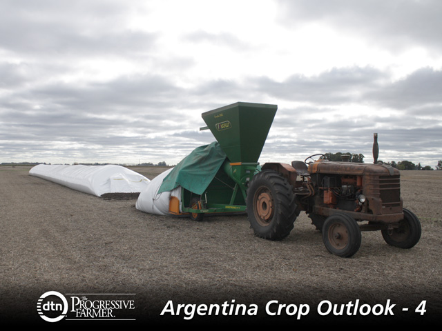 Argentina farmers will store as many soybeans and as much corn as possible this year to protect them against surging inflation and a possible further devaluation. One of the ways they will do this is fill silo bags, such as these in 9 de Julio, Buenos Aires province. (DTN photo by Alastair Stewart)