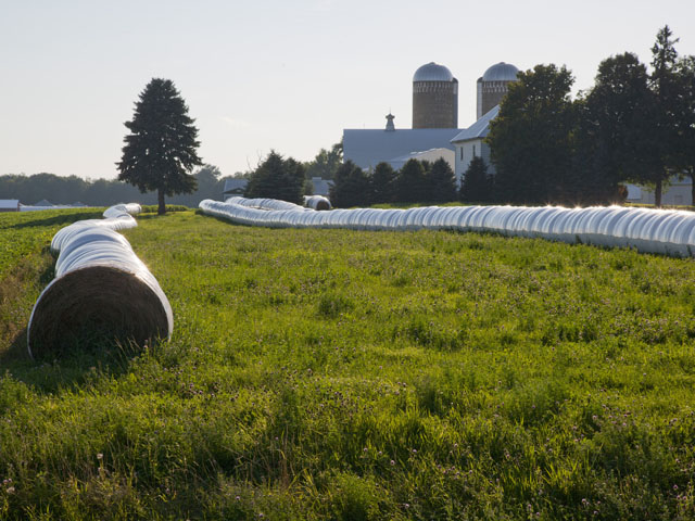 Silage tubes, horizontal silos, baled alfalfa on a farm near Green Isle, Minn. (By David L Hansen)