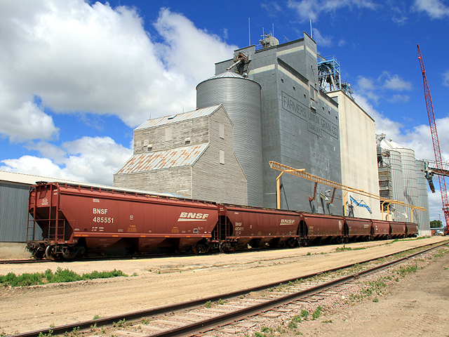 BNSF cars wait to be loaded at a Edgeley, N.D., grain elevator July 14. (DTN photo by Elaine Shein)