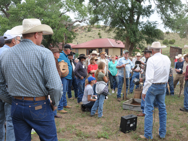 The auction for property off the Cedar Creek Ranch was held Tuesday west of Clayton, N.M. Hundreds of people attended the auction on the historic ranch. The couple who sold it, Richard and Connie Snyder, are moving to Kentucky to continue raising thoroughbred horses. (DTN photo by Chris Clayton)
