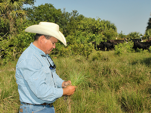 Alex Johns says south Florida forages may be abundant, but they aren&#039;t always high in quality. A customized supplement was his answer. (DTN/Progressive Farmer photo by Becky Mills)