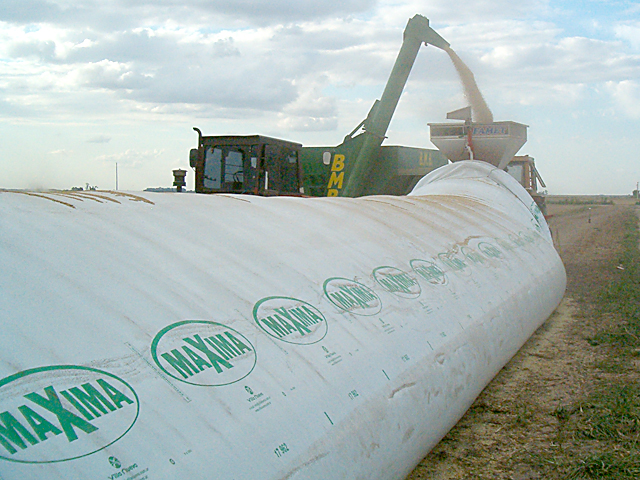 With two months left of the 2015-16 commercial year, Argentine farmers have as much as 12 million metric tons of soybeans in silo bags on the farm. (DTN file photo by Dan Davidson)
