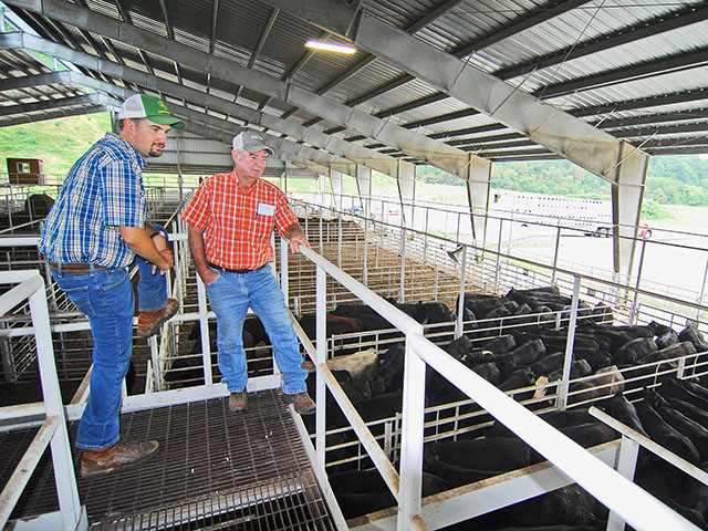 Blake Francis (left) and Jerry Roberts maximize the profit potential of their smaller herds by being members of the Mountain Cattle Alliance. (DTN/Progressive Farmer photo by Mike Boyatt)