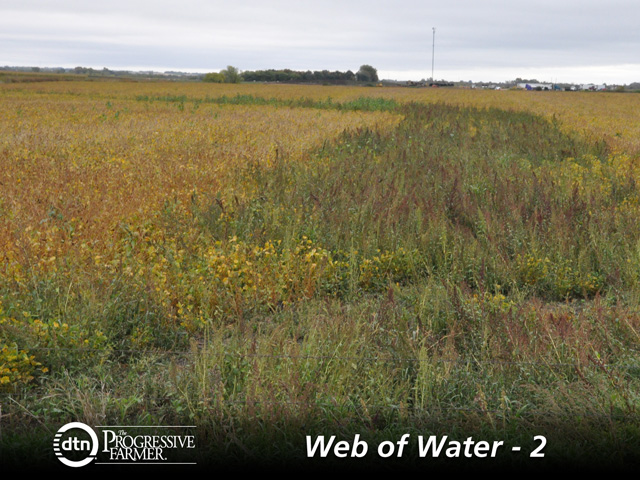 Scott VanderWal lives within 2 miles of the Big Sioux River in the prairie pothole region of South Dakota. He questions whether areas like this in his fields, where water flows in times of heavy rains, would be considered waters of the U.S. (DTN photo by Todd Neeley)