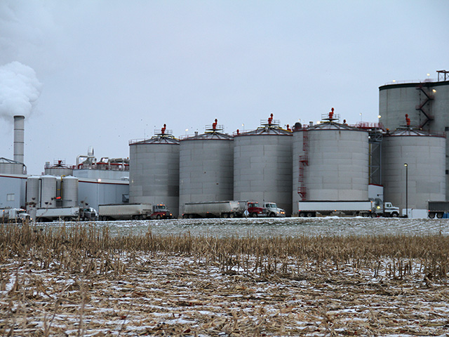 Grain trucks lined up to unload grain at the Flint Hills Resources plant which produces ethanol and DDG near Menlo, Iowa on Nov. 19. The new Food Safety Modernization Act will impose new requirements on any facility that produces animal feed, including ethanol plants that produce animal feeds such as distillers grains or corn gluten feed. (DTN photo by Elaine Shein)