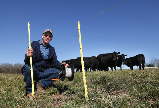 For 10 months out of the year, Mitch Baltz&#039;s cattle are eating grass, and he&#039;s saving money. He uses high-tensile wire to divide 180 acres of pasture into 2- and 3-acre paddocks. (DTN/Progressive Farmer photo by Lance Murphy)