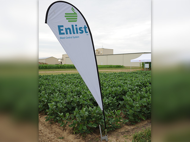 The Enlist Weed Control System will make a limited U.S. debut in 2015 on corn and soybean seed fields. (DTN Photo by Pamela Smith) 