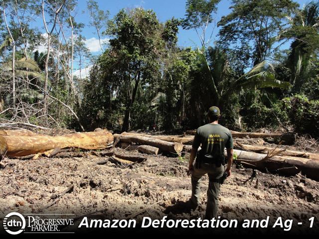 Ibama, Brazil&#039;s environmental agency, is looking to tighten the net on illegal loggers. (Photo courtesy Ibama)