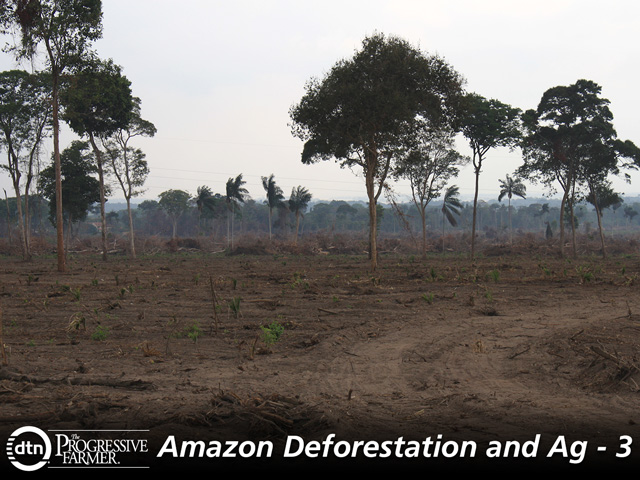 Cleared Amazon forest in Santarem, Brazil. Deforestation is still going on but the soy industry has reduced its footprint. (DTN photo by Alastair Stewart) 