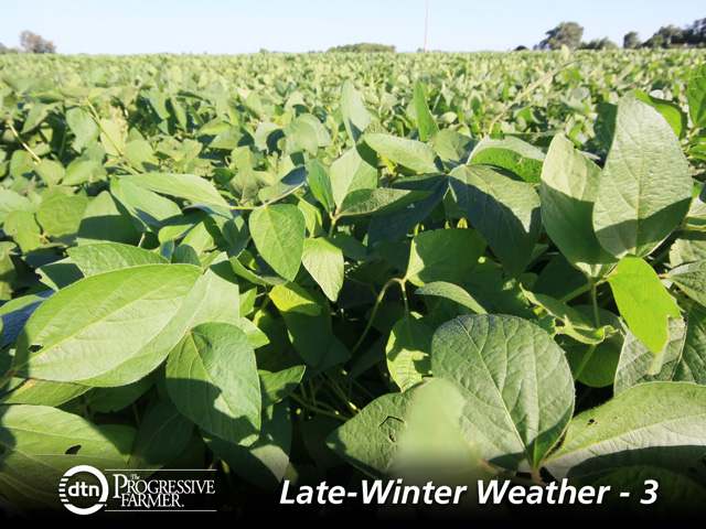 Soybean crop projections for Brazil are likely to increase due to beneficial weather conditions. (DTN photo by By Kieran Gartlan)
