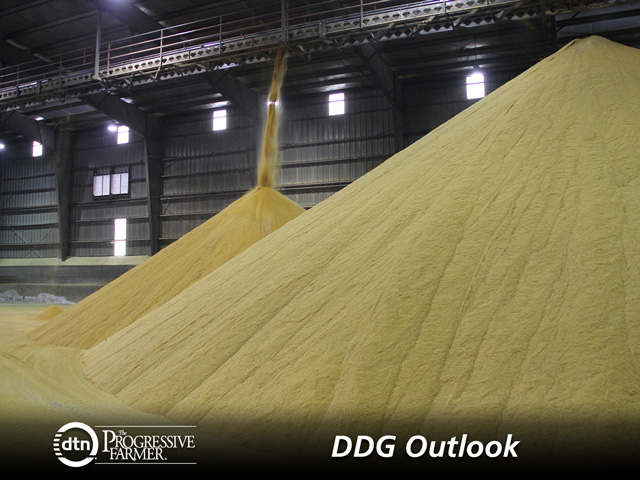 U.S. companies are going to be very cautious about exporting to China after huge disruptions in dried distillers grains trade last year. The Chinese government rejected shipments of U.S. corn containing the MIR 162 biotech trait produced by Syngenta Ag. (DTN photo by Elaine Shein)