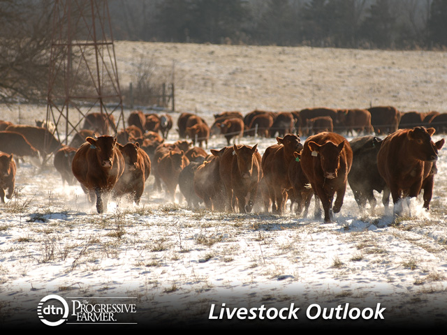 National beef numbers have declined for several years since 2012&#039;s drought. Despite some drought relief in 2013 and 2014, it may take several more years to rebuild the herd. (DTN photo by Jim Patrico)