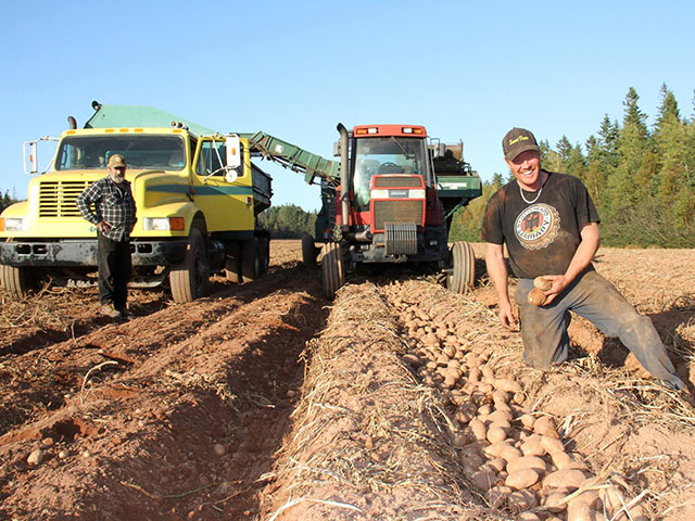 Prince Edward Island produces about 85,000 acres of potatoes. (DTN photo by Elaine Shein)