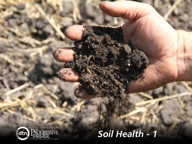 It helps to think of soil as more than a medium to place seed, fertilizer or chemicals. It is a living entity. (DTN photo by Elaine Shein)