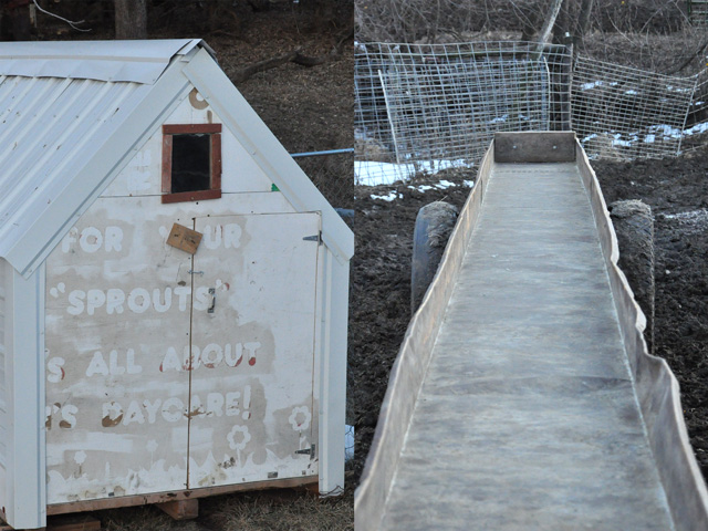Winter projects made from repurposed materials on the Quinn Farm: Kids playhouse, left, and elevator feed bunk on the right. (DTN photo by Russ Quinn)