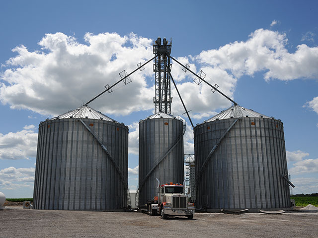 The low angle of the sun in late winter and early spring months can create more heat on the south side of grain bins than growers might realize. (DTN photo by Pam Smith)