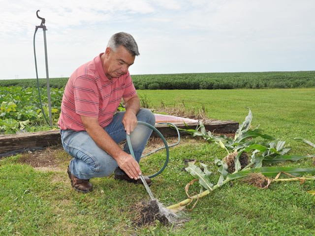 David Brown checks for rootworm damage on his farm in central Illinois. New rules for rootworm management proposed by the EPA could change Brown&#039;s options for controlling the pest. (DTN photo by Emily Unglesbee) 