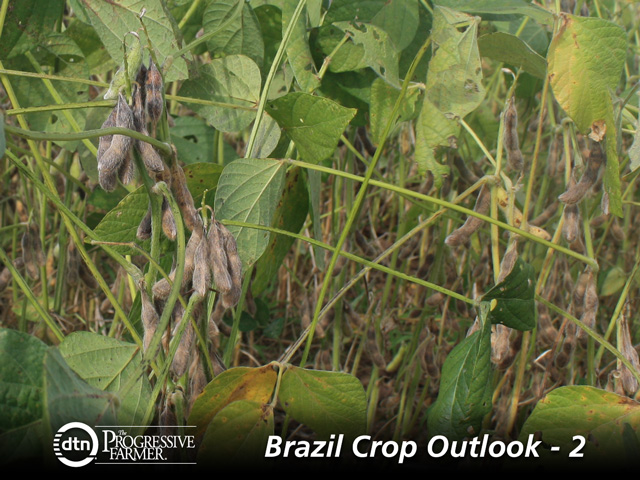 New threats have surged over the past five years in Brazil and affected crop yields. (DTN photo by Alastair Stewart)