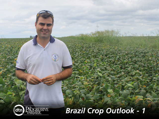 Caetano de Carvalho Berlatto&#039;s soybeans promise a 60-bushel per-acre yield despite a dry January. Strong yields across southern Brazil will likely offset drought losses in the Cerrado region this season. (DTN photo by Alastair Stewart)