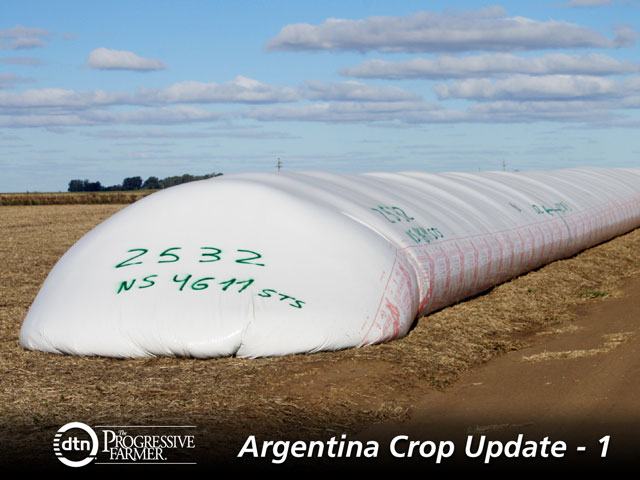 Argentine farmers stock wheat in silo bags, such as this one in Christophersen, Santa Fe, as a lack of export licenses depresses the market. (DTN photo by Alastair Stewart)