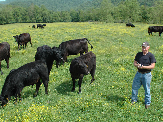 Eddie Bradley gives calves a taste of weaning rations early, a trick that helps them actually gain 4 to 5 pounds during the weaning process. (DTN/Progressive Farmer photo by Becky Mills)
