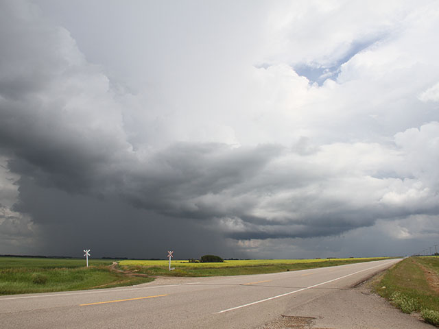 Southeast Saskatchewan saw some welcome but spotty showers and thunderstorms July 13. The majority of the crops in the region are in poor-to-good condition, according to the most recent provincial crop report. The rest of the province still needs more rain for crops. (DTN photo by Elaine Shein)