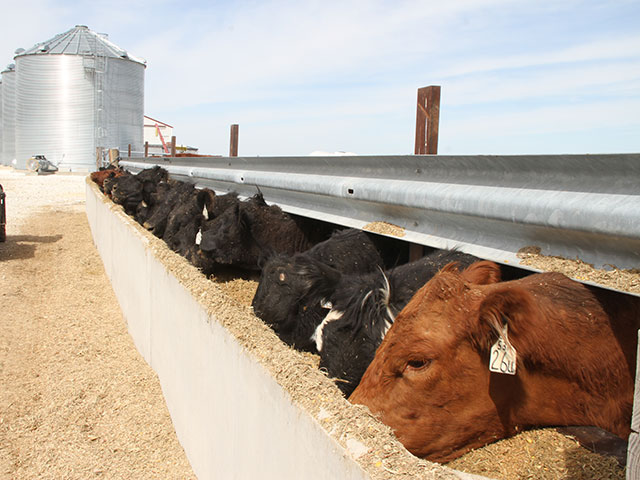 Use these examples to figure the value of gain. (DTN/Progressive Farmer image by Pam Smith)