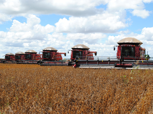 This file photo is of a soybean field in Mato Grosso, Brazil. Farmers in Brazil are expected to plant more soybean acres in 2015-16. (DTN file photo by Marcia Zarley Taylor)