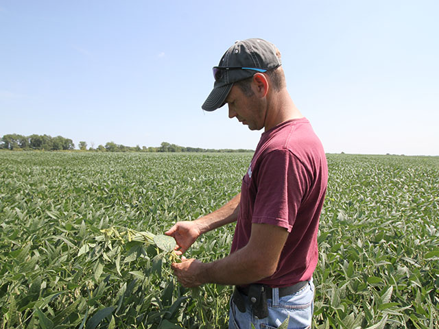 Ken Franklin is watching his central Illinois soybean crop for diseases this fall so he knows what preventative steps to take next spring. (DTN photo by Pamela Smith)